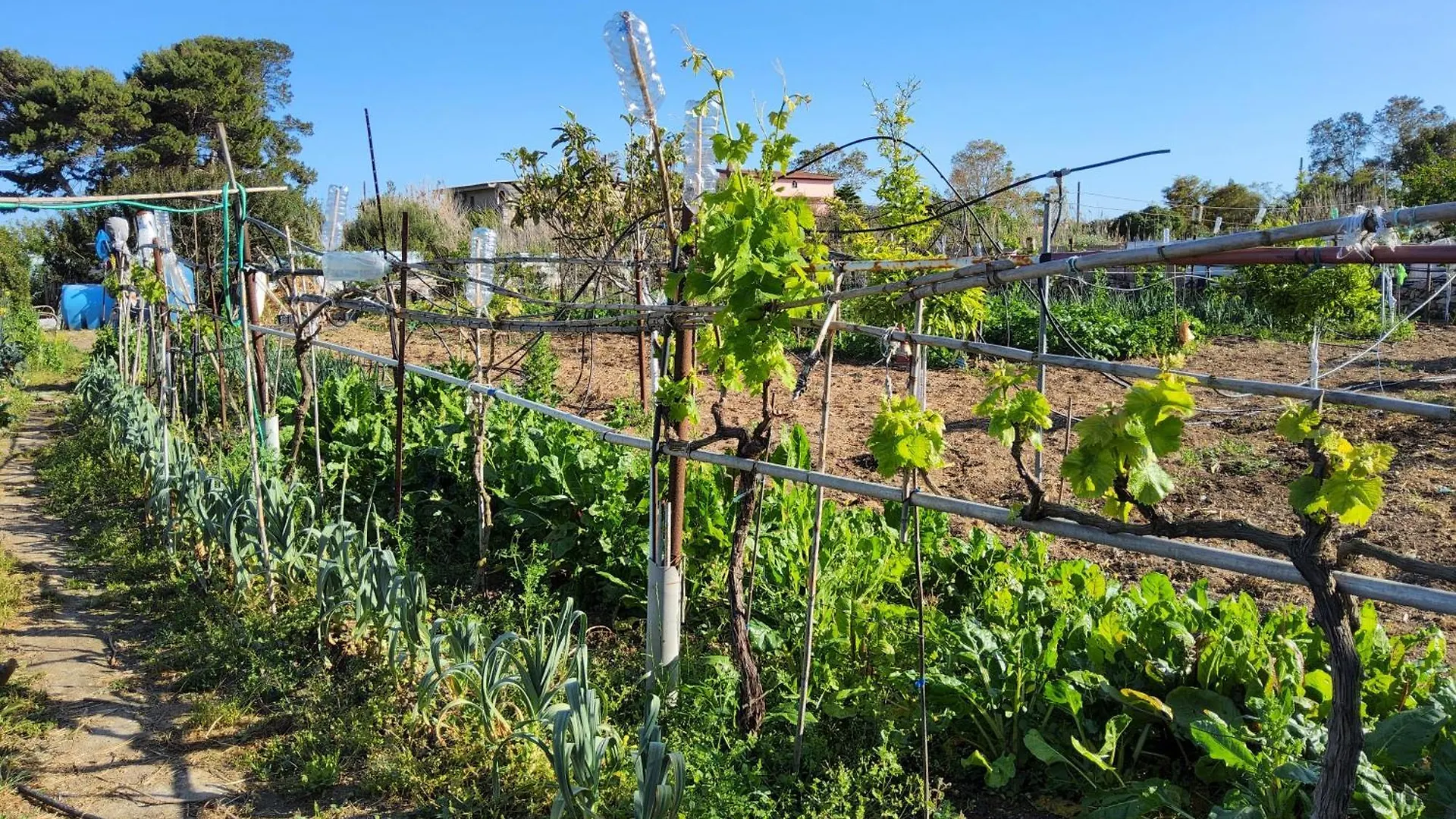L'Oasi Del Fenicottero Rosa Villa Cagliari Italien
