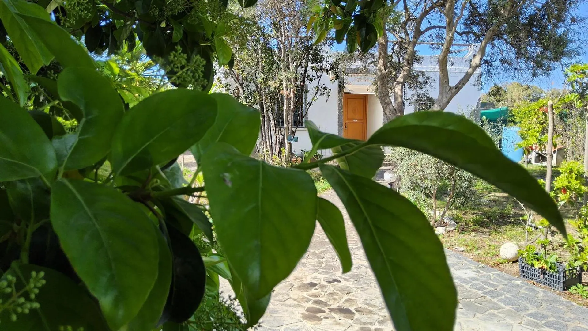 L'Oasi Del Fenicottero Rosa Villa Cagliari Semesterbostad