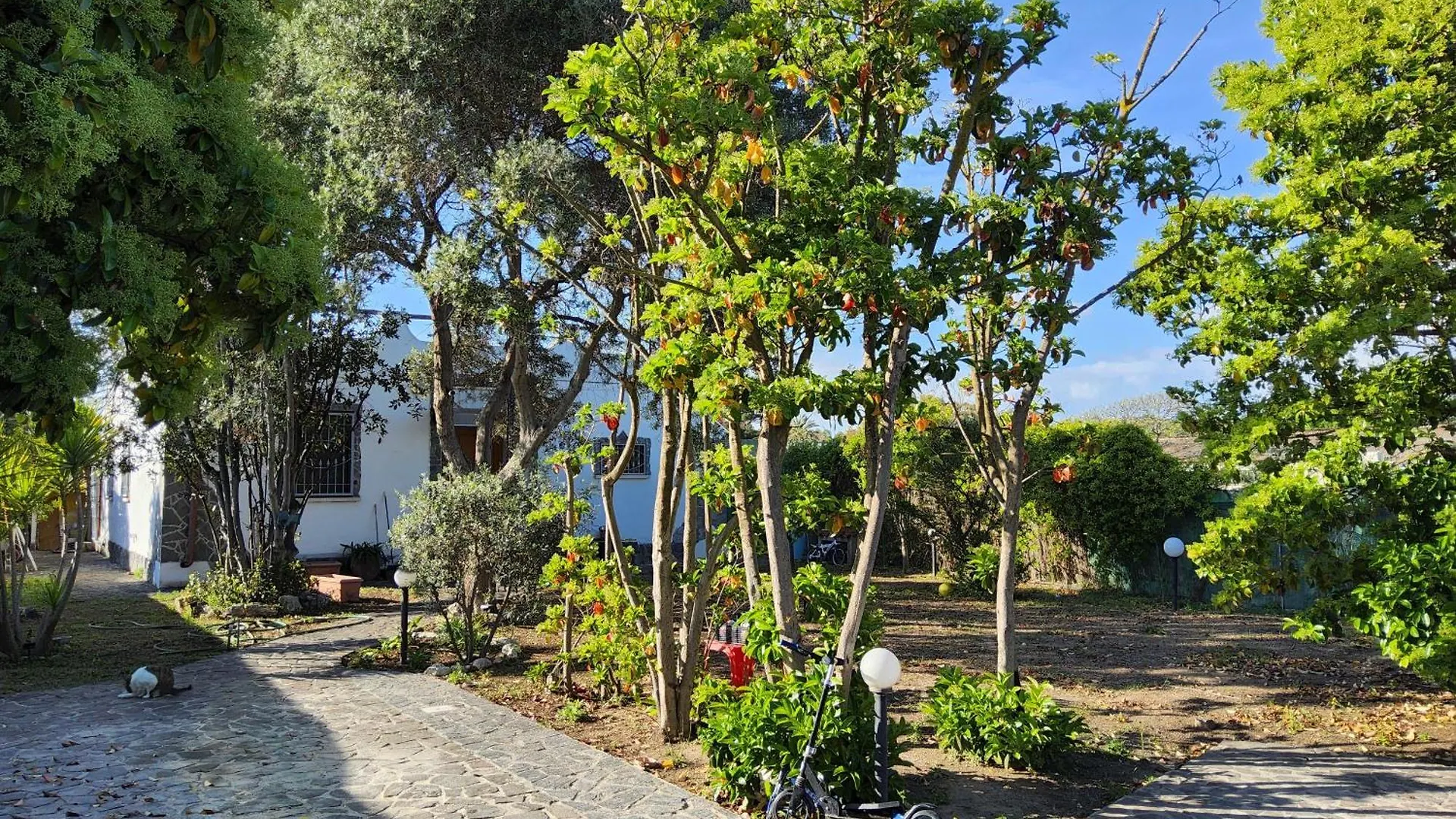 L'Oasi Del Fenicottero Rosa Villa Cagliari Italien